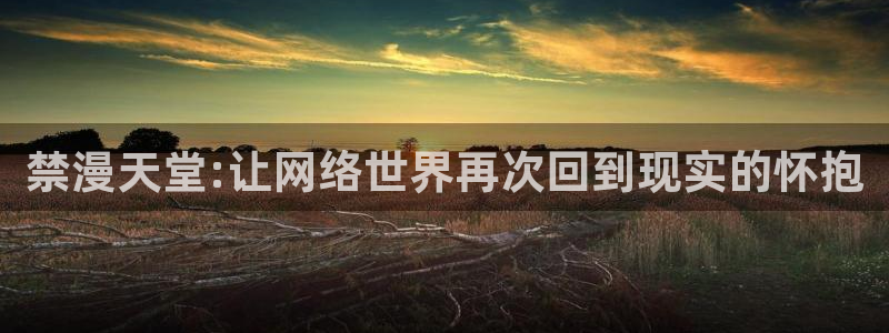 omofun官方下载入口：禁漫天堂:让网络世界再次回到现实的怀抱