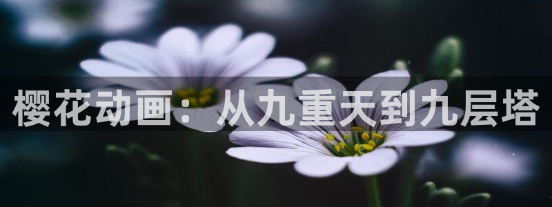 omofun动漫网站：樱花动画：从九重天到九层塔