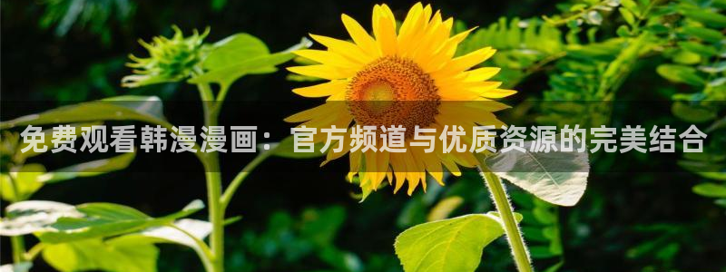 omofun动漫官网在线看：免费观看韩漫漫画：官方频道与优质资源的完美结合