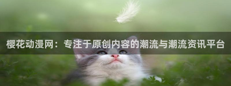 omofun动漫官方下载app：樱花动漫网：专注于原创内容的潮流与潮流资讯平台