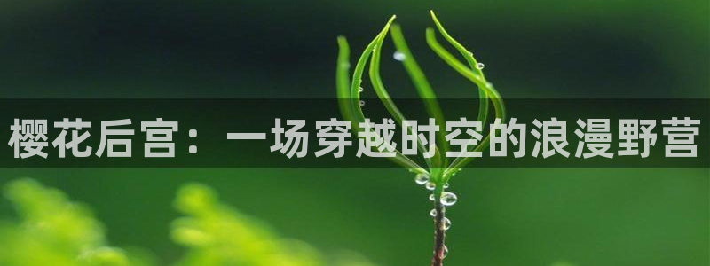 omofun动漫.：樱花后宫：一场穿越时空的浪漫野营