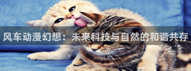 omofun中文官网：风车动漫幻想：未来科技与自然的和谐共存