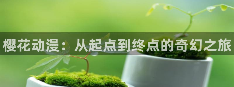 age动漫omofun：樱花动漫：从起点到终点的奇幻之旅