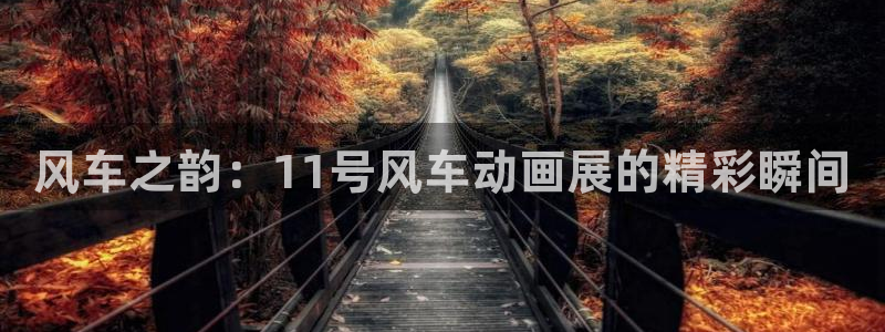 omofun在线观看免费动漫：风车之韵：11号风车动画展的精彩瞬间