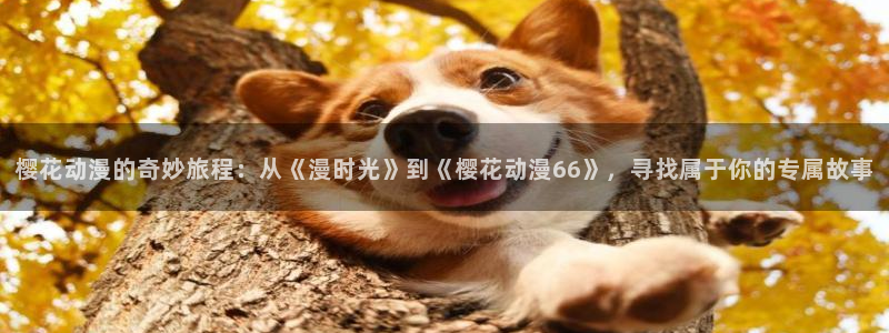 - omofun：樱花动漫的奇妙旅程：从《漫时光》到《樱花动漫66》，寻找属于你的专属故事