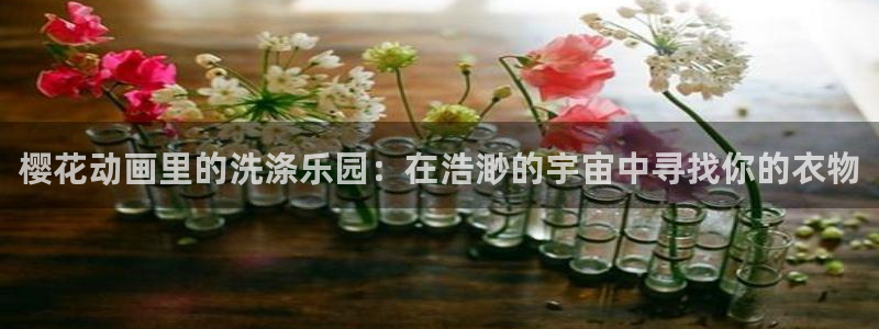 omofun动漫怎么下载：樱花动画里的洗涤乐园：在浩渺的宇宙中寻找你的衣物