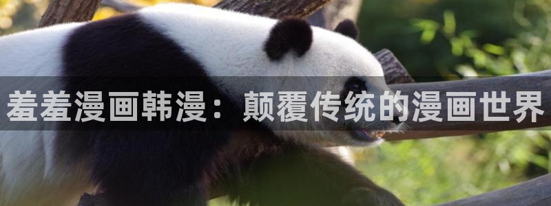 omofun动漫app下载最新版：羞羞漫画韩漫：颠覆传统的漫画世界