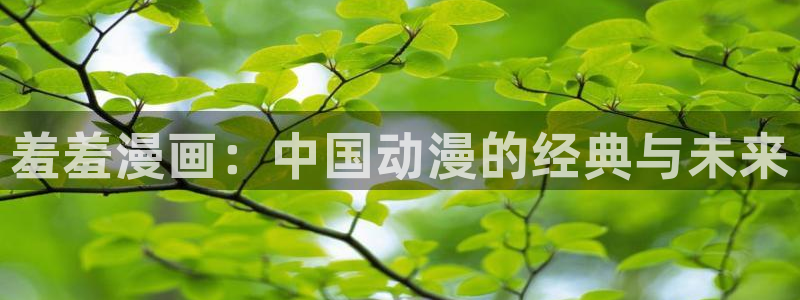 腐漫画网入口：羞羞漫画：中国动漫的经典与未来