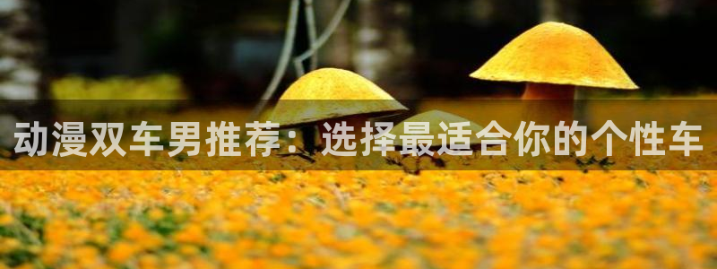 omofun弹幕网：动漫双车男推荐：选择最适合你的个性车