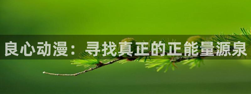 新版omofun下载：良心动漫：寻找真正的正能量源泉