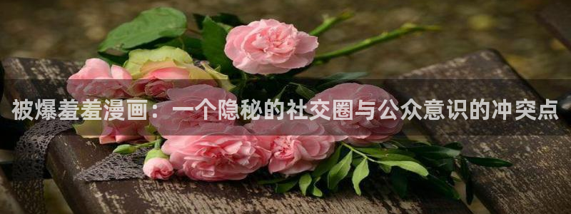 omofun动漫网：被爆羞羞漫画：一个隐秘的社交圈与公众意识的冲突点