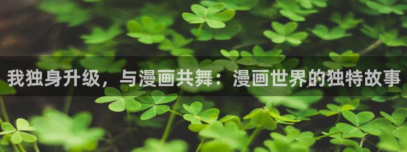 omofun动画：我独身升级，与漫画共舞：漫画世界的独特故事