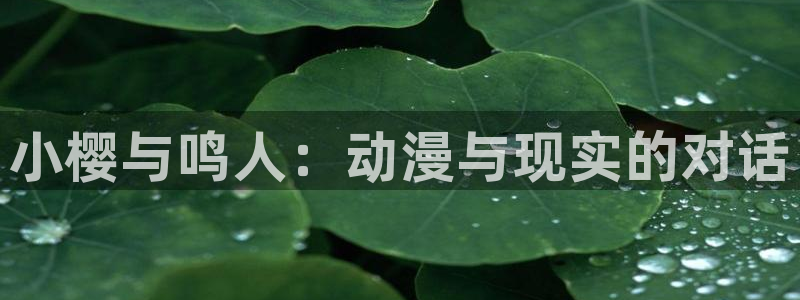 omofun正版官方：小樱与鸣人：动漫与现实的对话