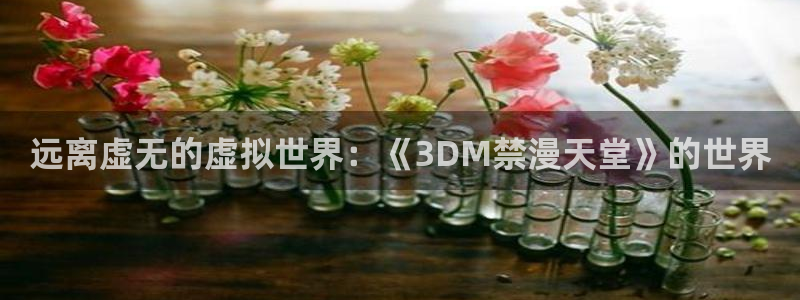 omofun动漫官网最新版：远离虚无的虚拟世界：《3DM禁漫天堂》的世界