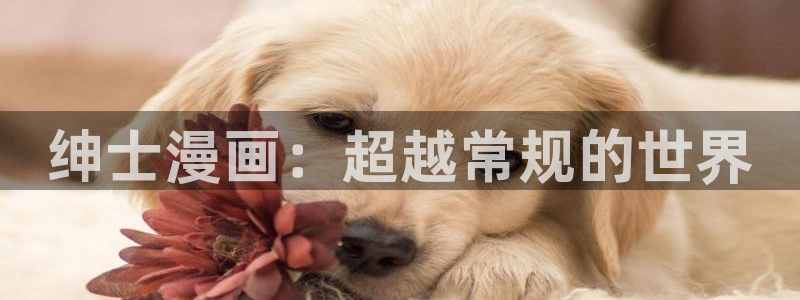 omofun在线：绅士漫画：超越常规的世界