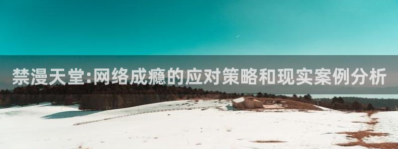 omofun动漫免费看：禁漫天堂:网络成瘾的应对策略和现实案例分析